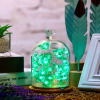 St Patrick's Day Four-Leaf Clover LED String Lights