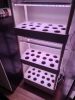 3-Tier 42-Pod Indoor Hydroponic Growing System with LED Grow Lights