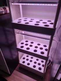 3-Tier 42-Pod Indoor Hydroponic Growing System with LED Grow Lights