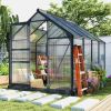 8.3-Ft x 6.2-Ft Polycarbonate Walk-In Greenhouse with Grey Frame