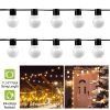 10-Light Warm White Globe Outdoor String Lights