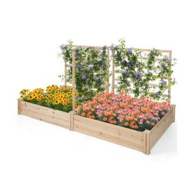 Garden Bed Planting Box