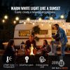 100-Ft Warm White Dimmable LED Outdoor String Lights – 2700K