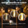 100-Ft Warm White Dimmable LED Outdoor String Lights – 2700K