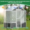 6.3-Ft x 4-Ft Wooden Walk-In Polycarbonate Greenhouse