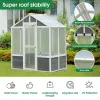 6.3-Ft x 4-Ft Wooden Walk-In Polycarbonate Greenhouse