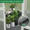 6.3-Ft x 4-Ft Wooden Walk-In Polycarbonate Greenhouse