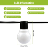 10-Light Warm White Globe Outdoor String Lights